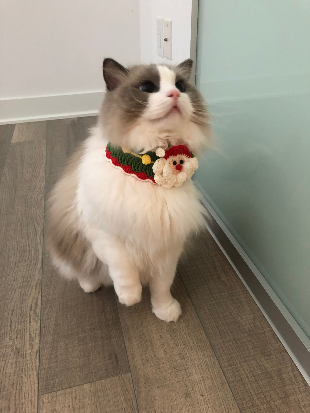 Crochet pet bib/collar/neckwear - Santa Clause - Christmas limited
