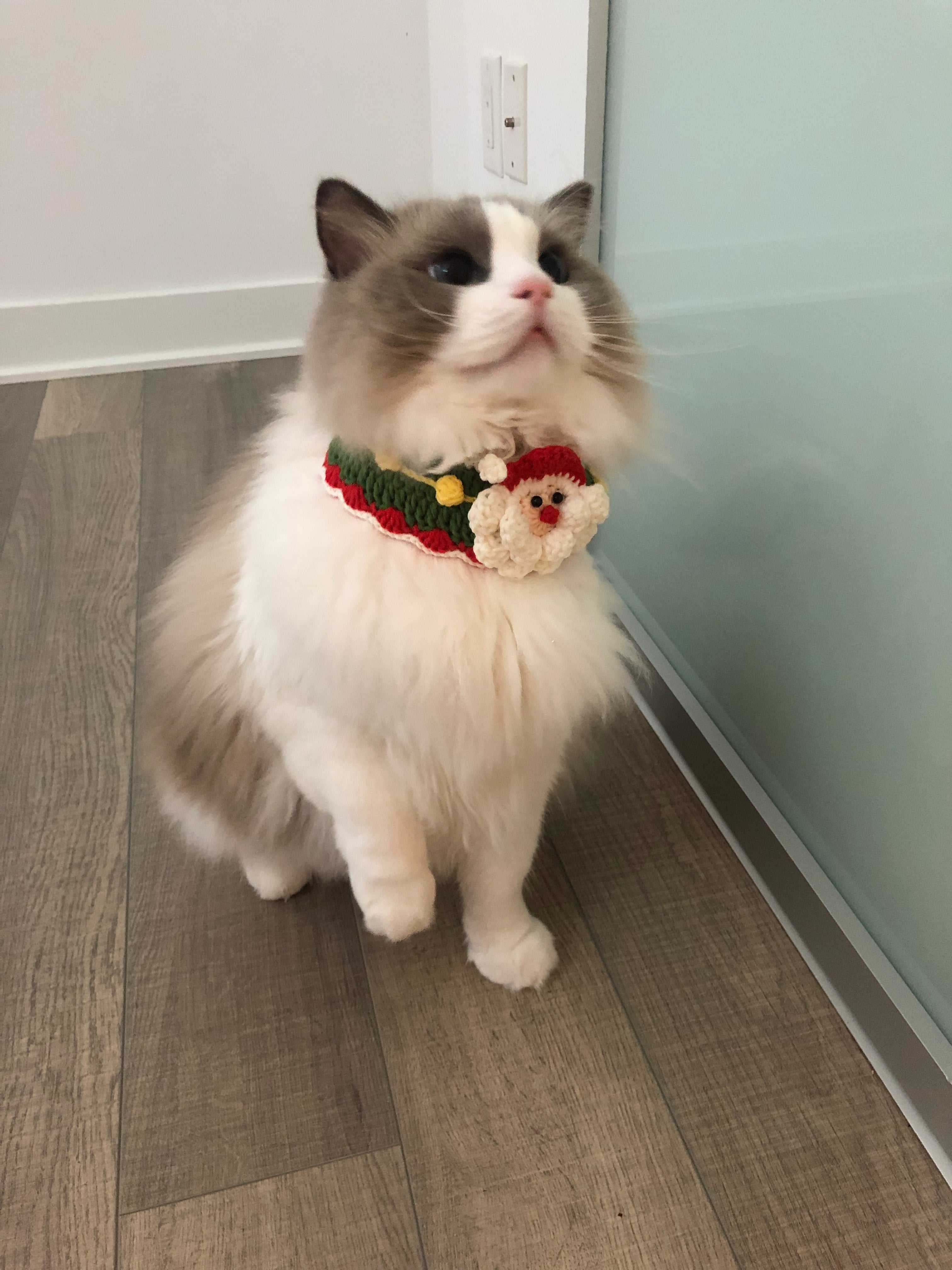 Crochet pet bib/collar/neckwear - Santa Clause - Christmas limited