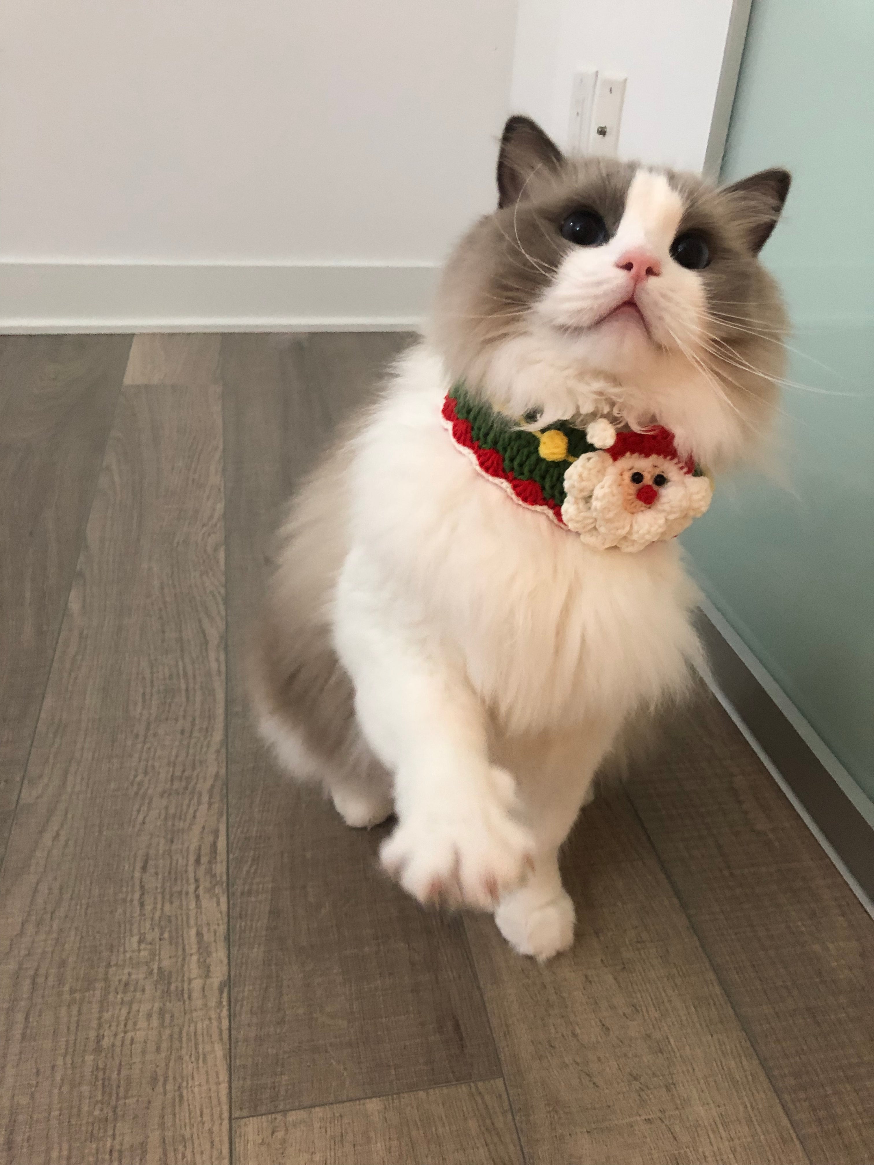Crochet pet bib/collar/neckwear - Santa Clause - Christmas limited