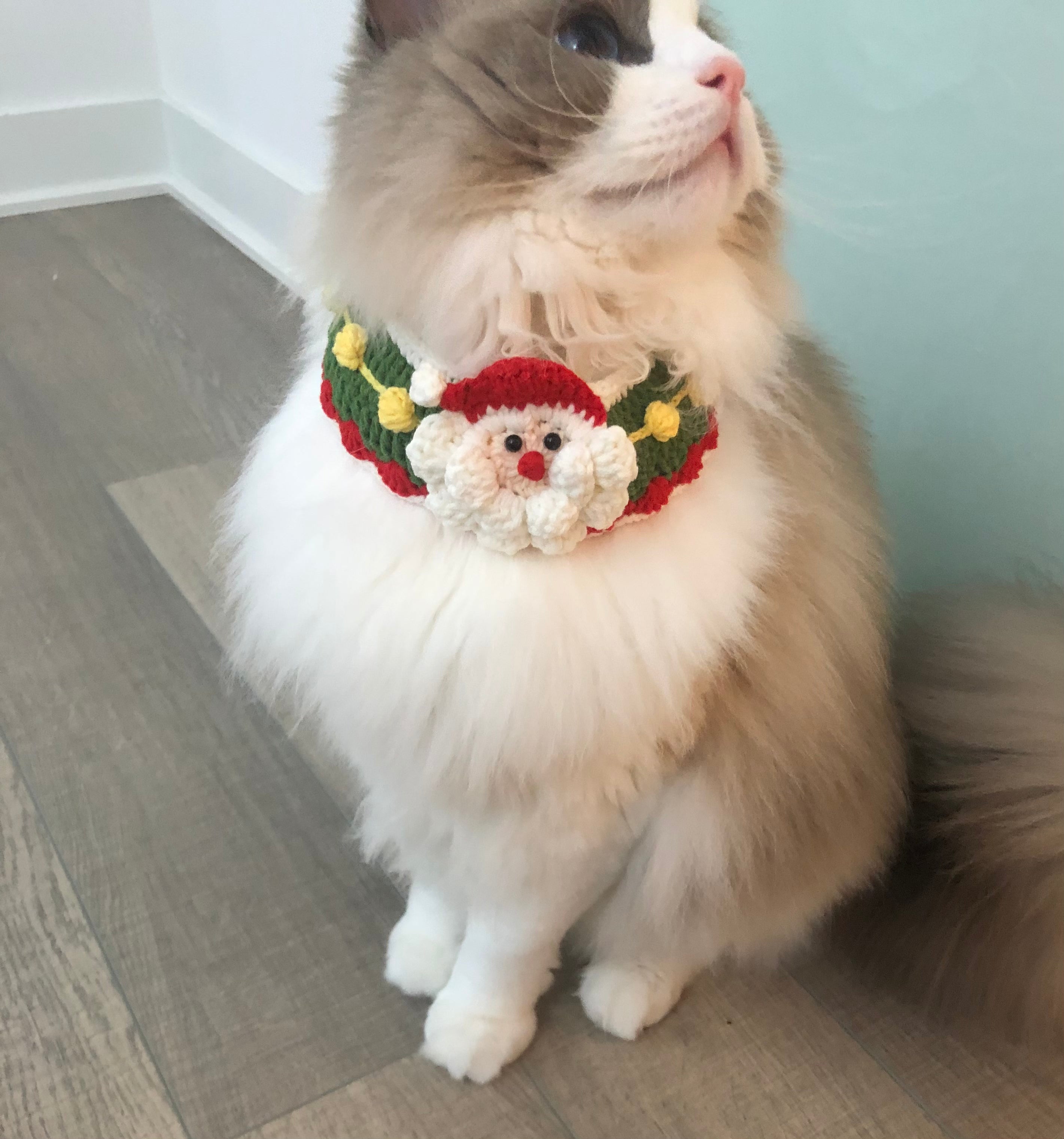 Crochet pet bib/collar/neckwear - Santa Clause - Christmas limited