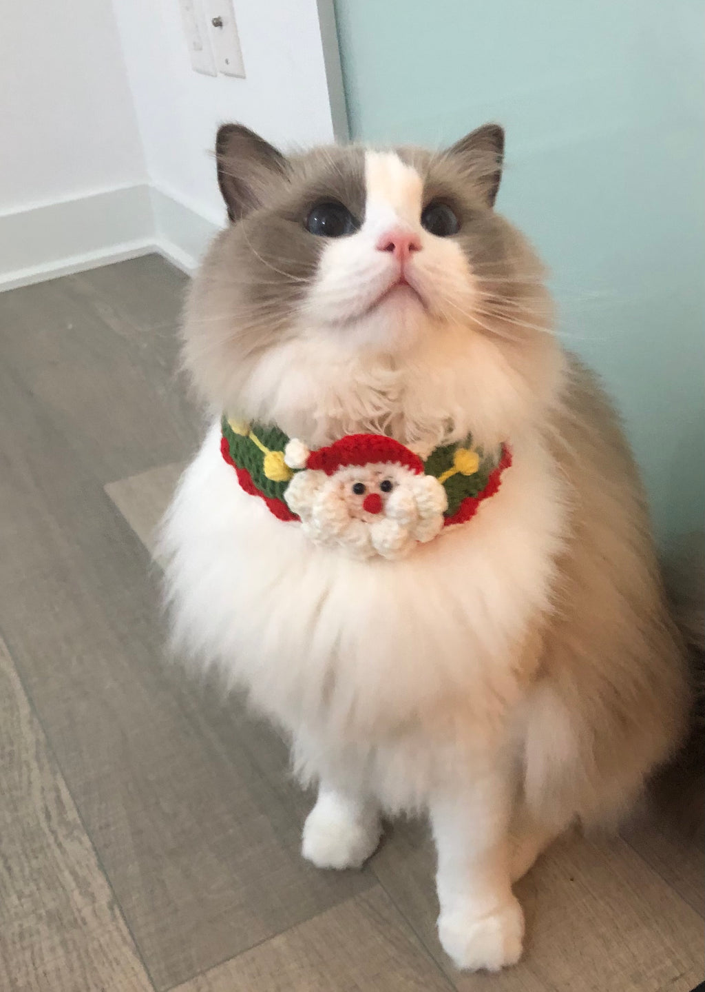 Crochet pet bib/collar/neckwear - Santa Clause - Christmas limited