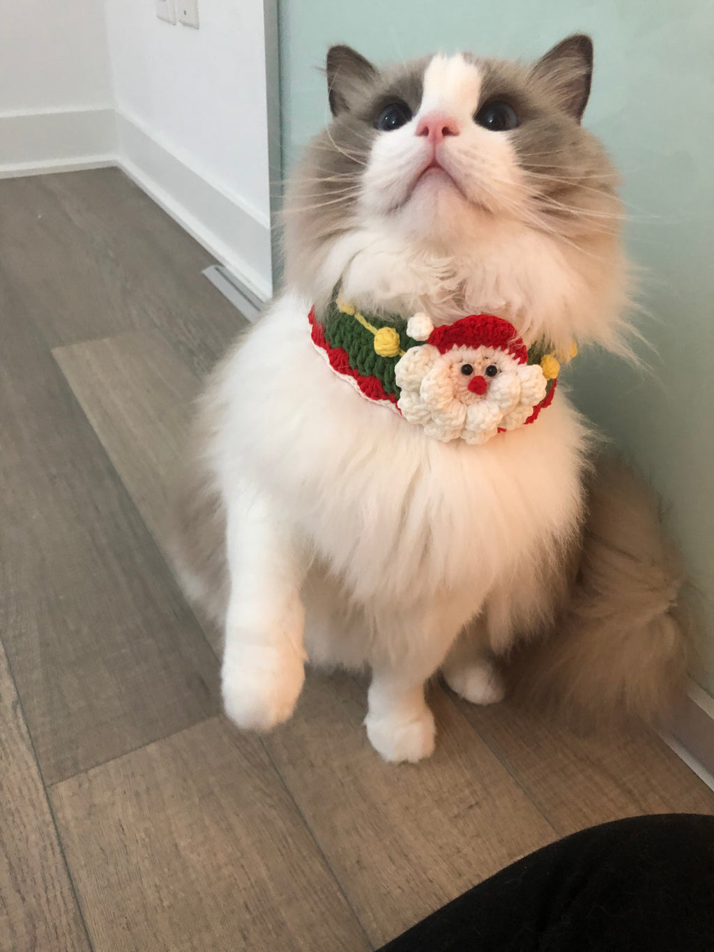 Crochet pet bib/collar/neckwear - Santa Clause - Christmas limited
