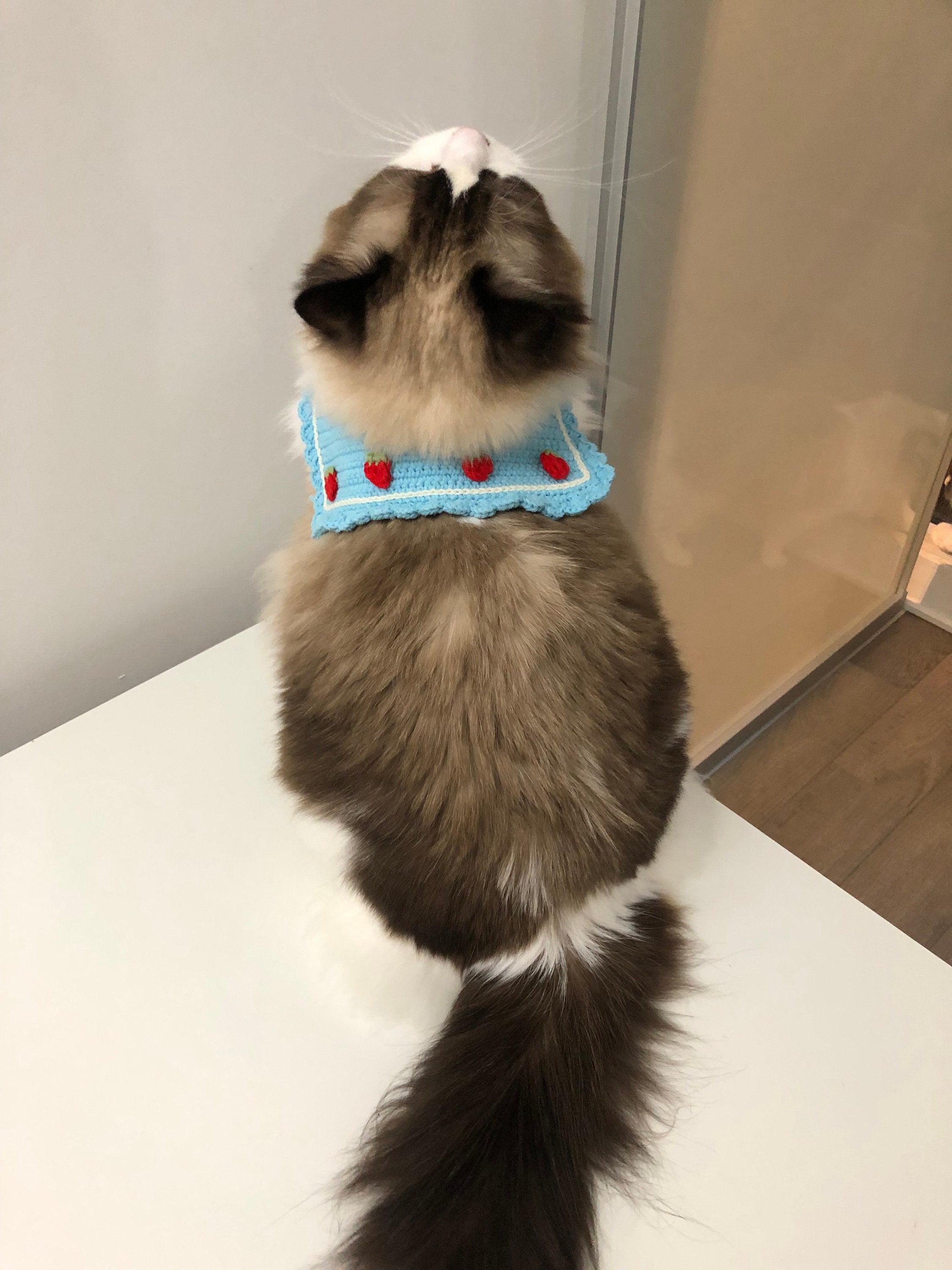 crochet pet collar - mini strawberries - 100% handmade