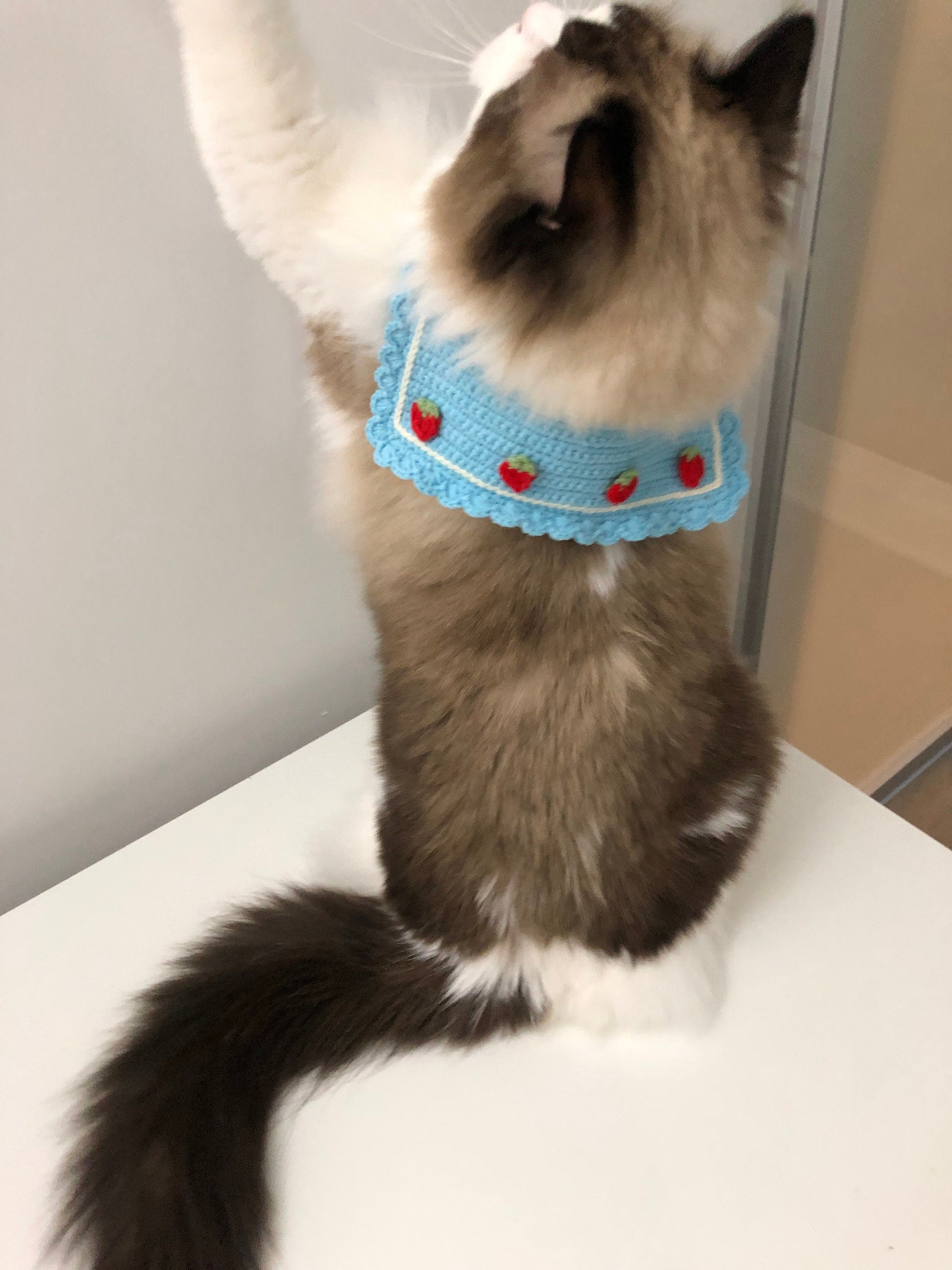 crochet pet collar - mini strawberries - 100% handmade