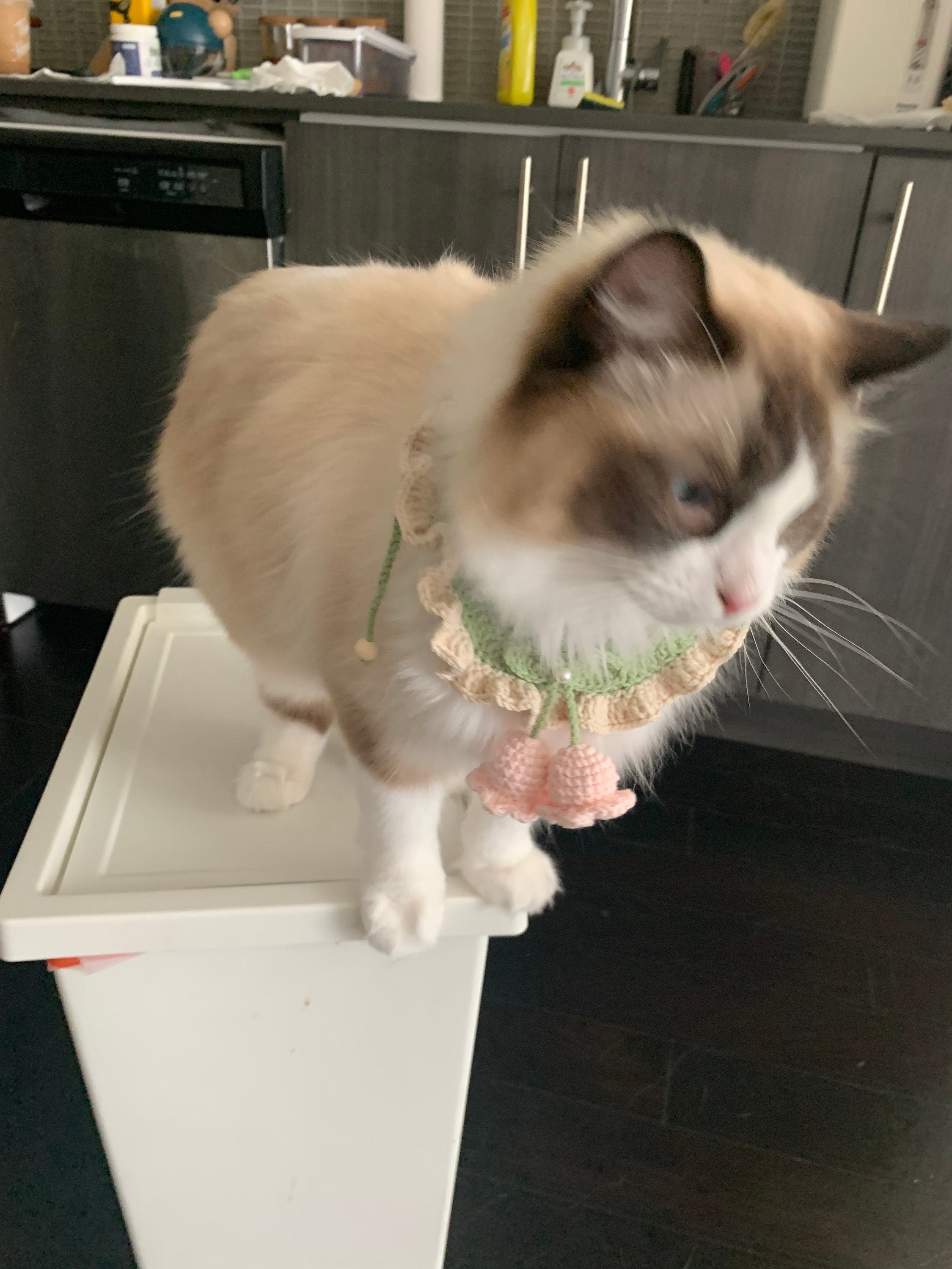 Crochet Pet Bib - Lily of the valley - 100% handmade