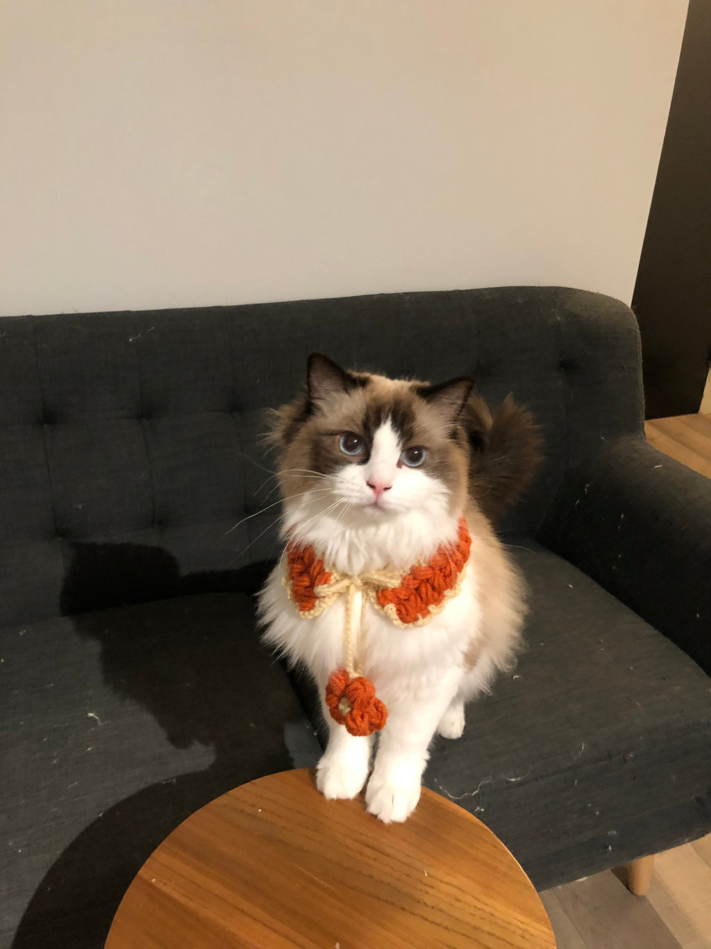 Crochet Pet Bib - Wheat in Autumn - 100% Handmade