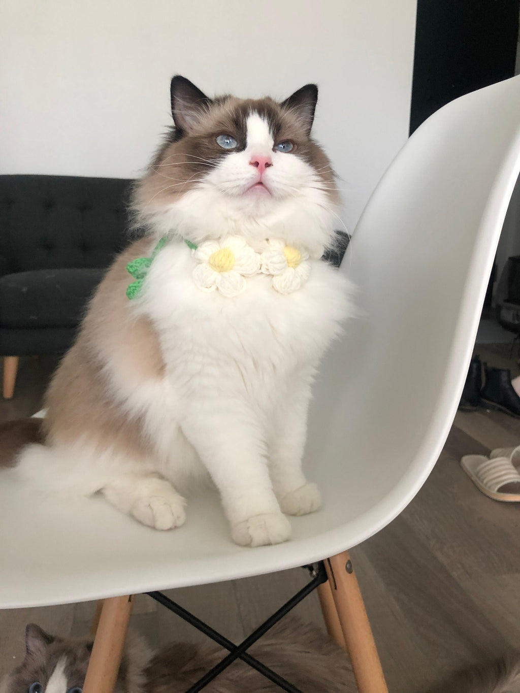 Crochet - Floral Pet Bib-100% handmade