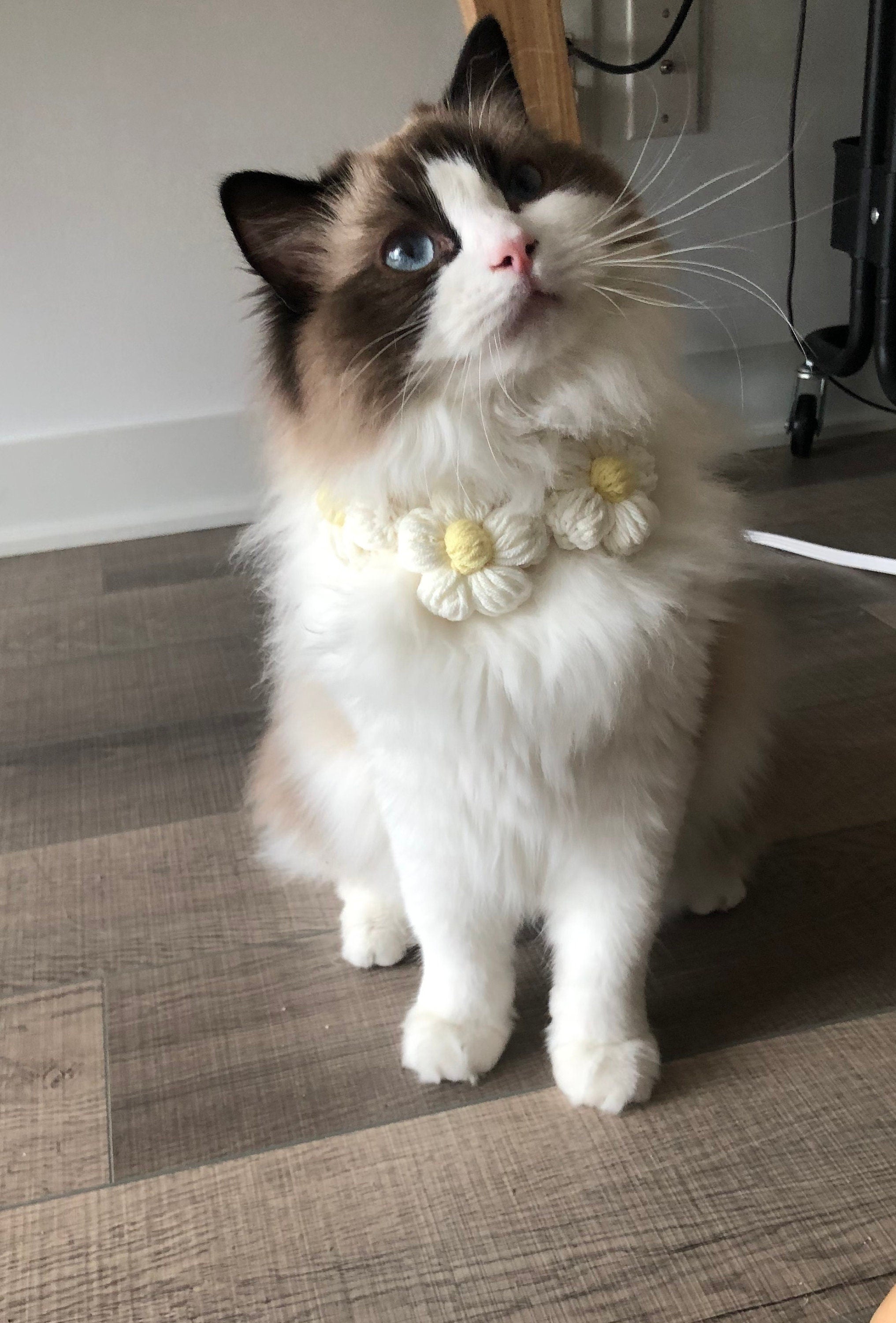 Crochet - Floral Pet Bib-100% handmade