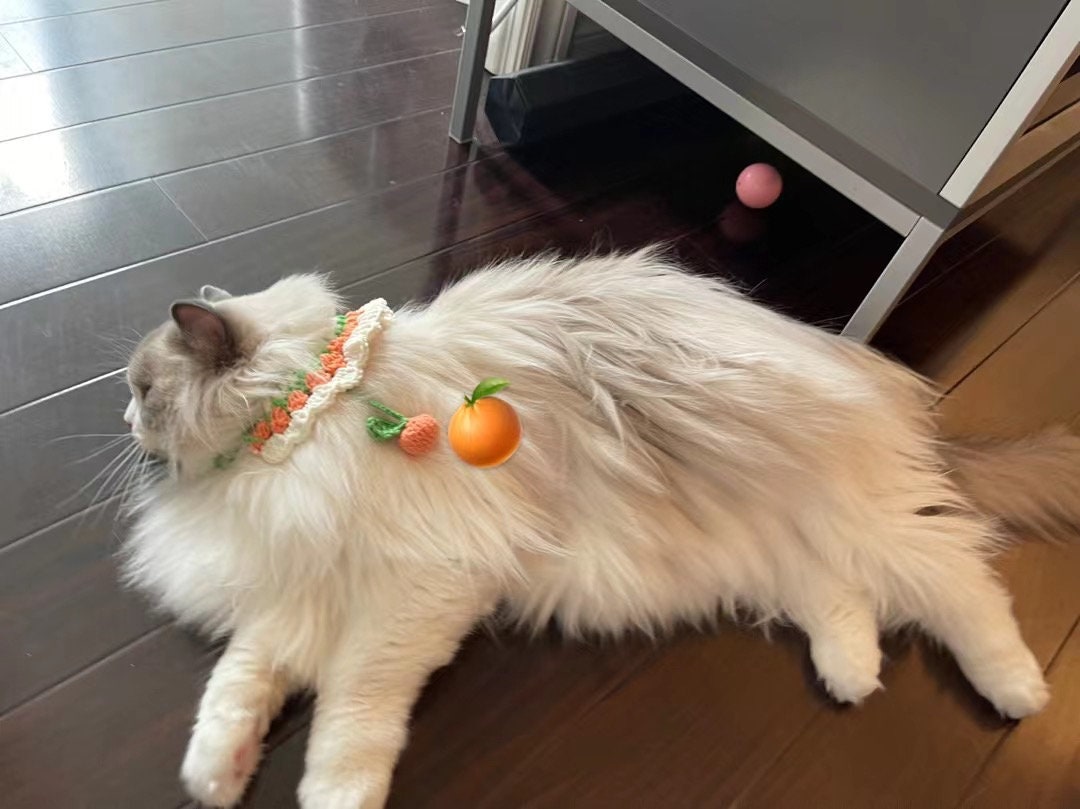 Crochet Pet Bib - Passionate Orange - 100% handmade