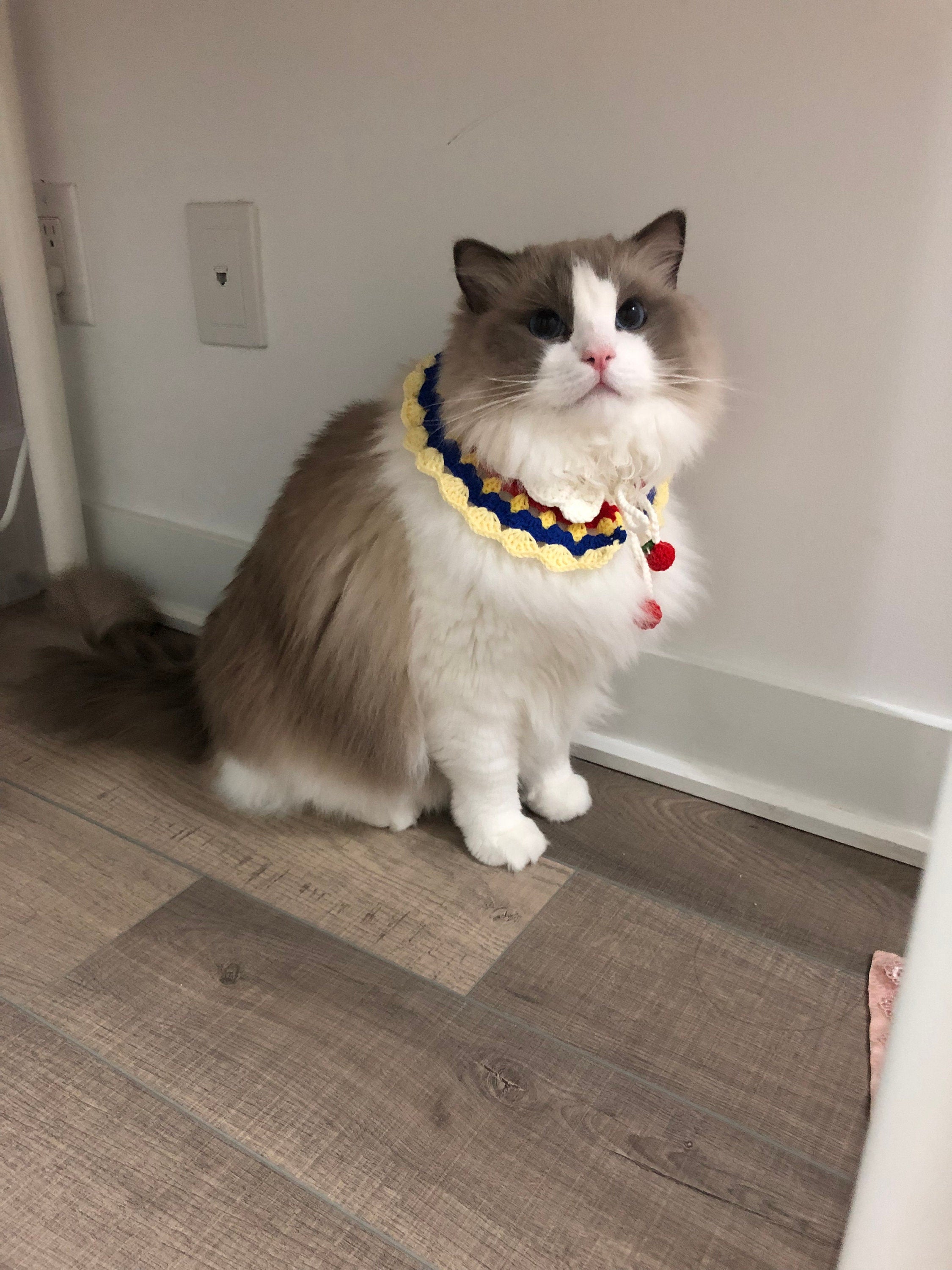 Crochet pet collar - 100% handmade - Snow White