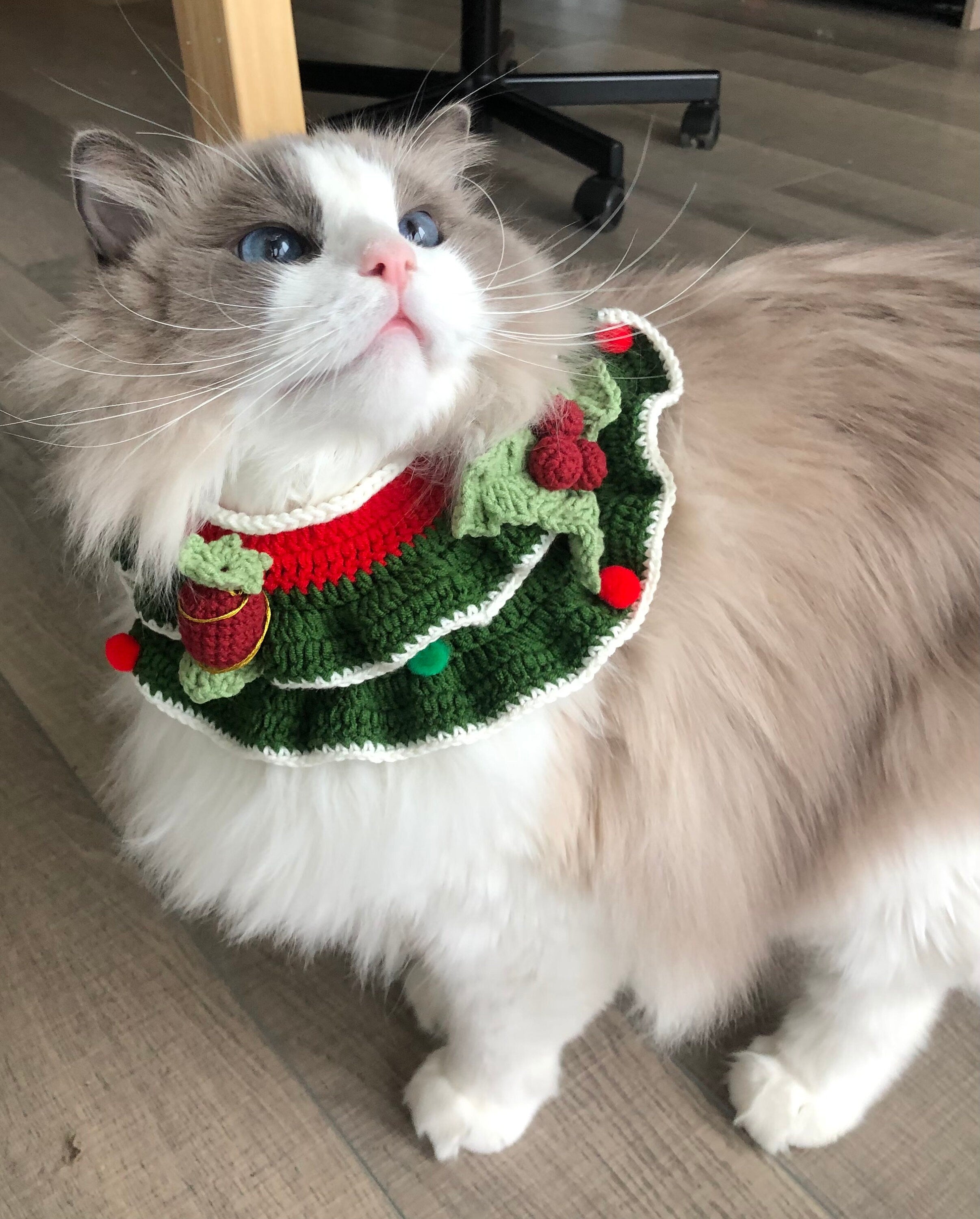 Crochet Pet Bib/Collar/Neckwear - Christmas Candies and Berries - 100% handmade