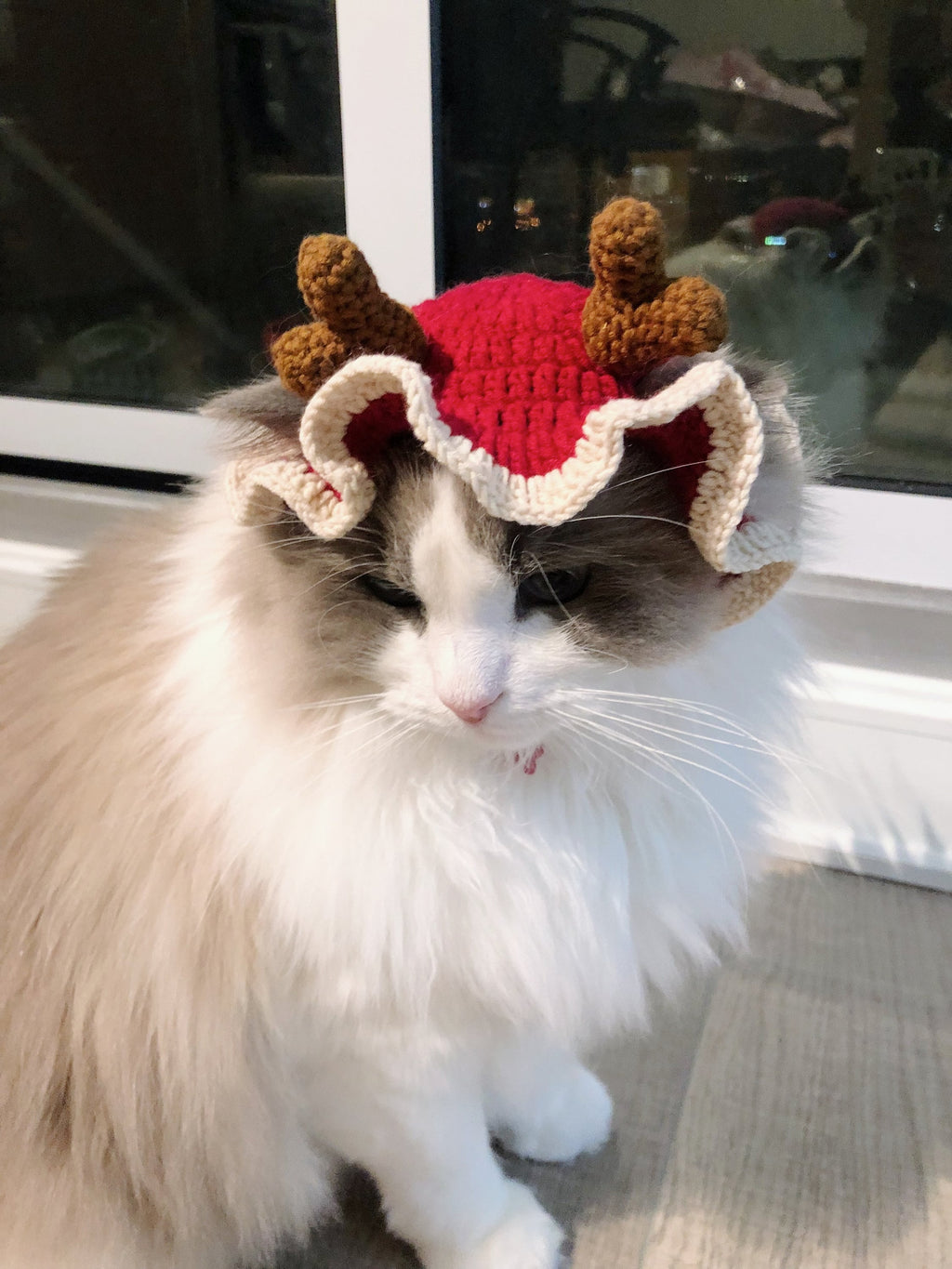 Crochet Pet Hat/Pet Apparel - Christmas Elk- 100% handmade