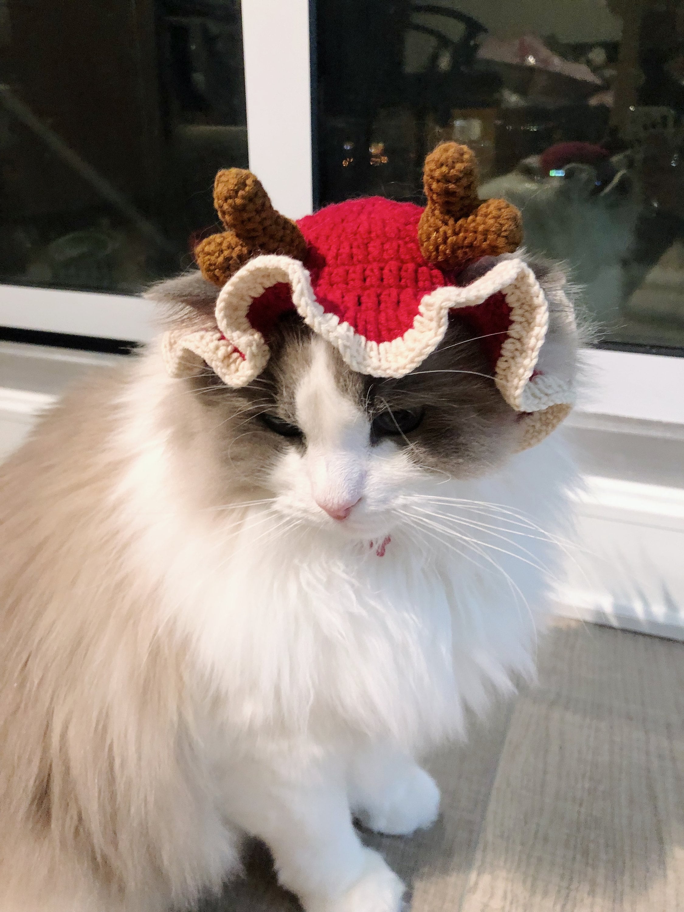 Crochet Pet Hat/Pet Apparel - Christmas Elk- 100% handmade