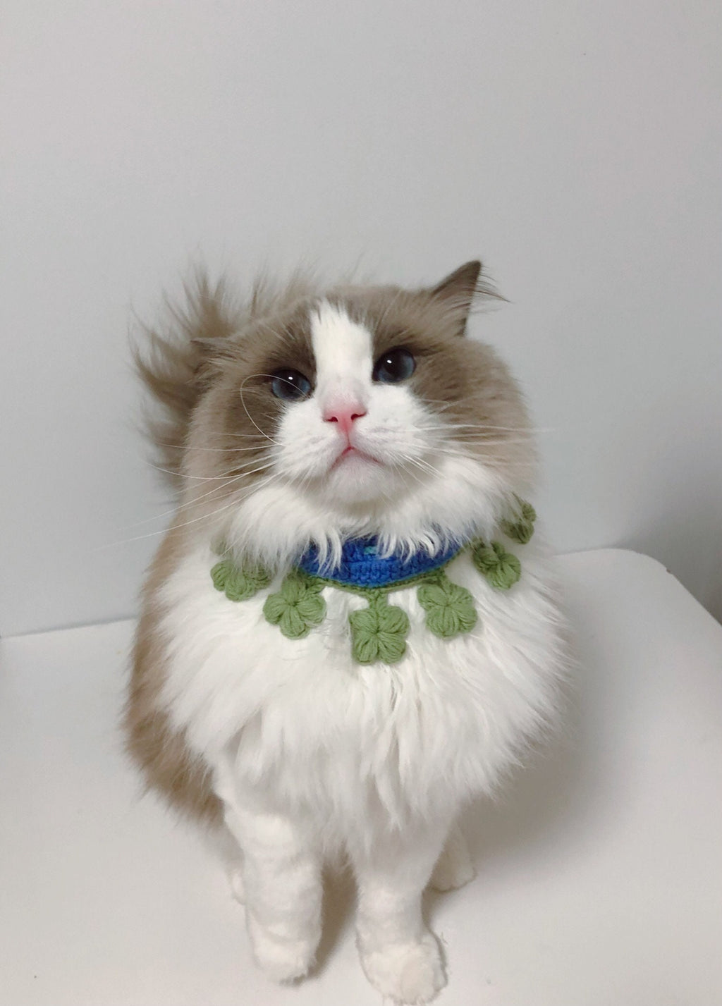 Crochet Pet Bib/Pet Collar/Neckwear- Four Leaf Clover - 100% handmade