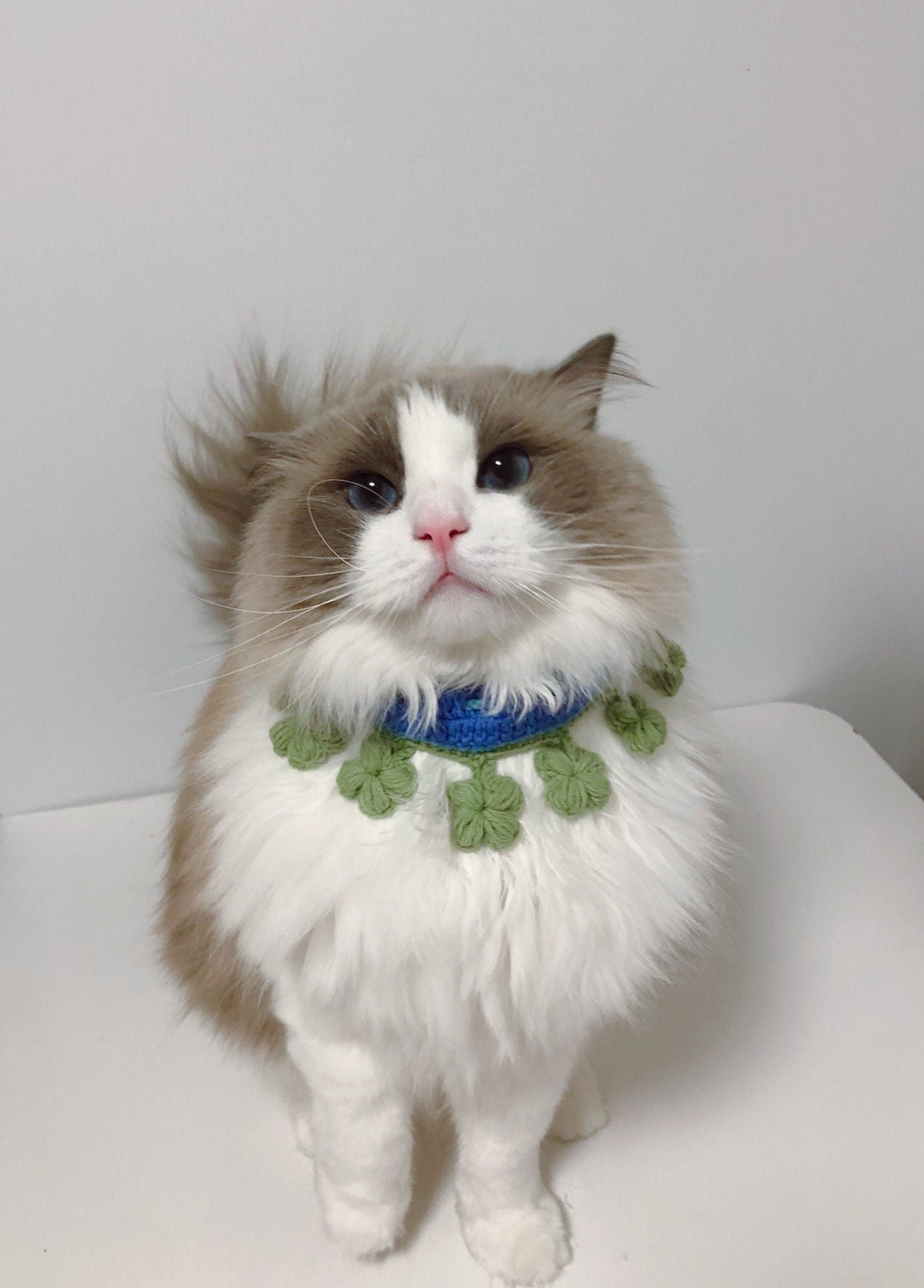 Crochet Pet Bib/Pet Collar/Neckwear- Four Leaf Clover - 100% handmade