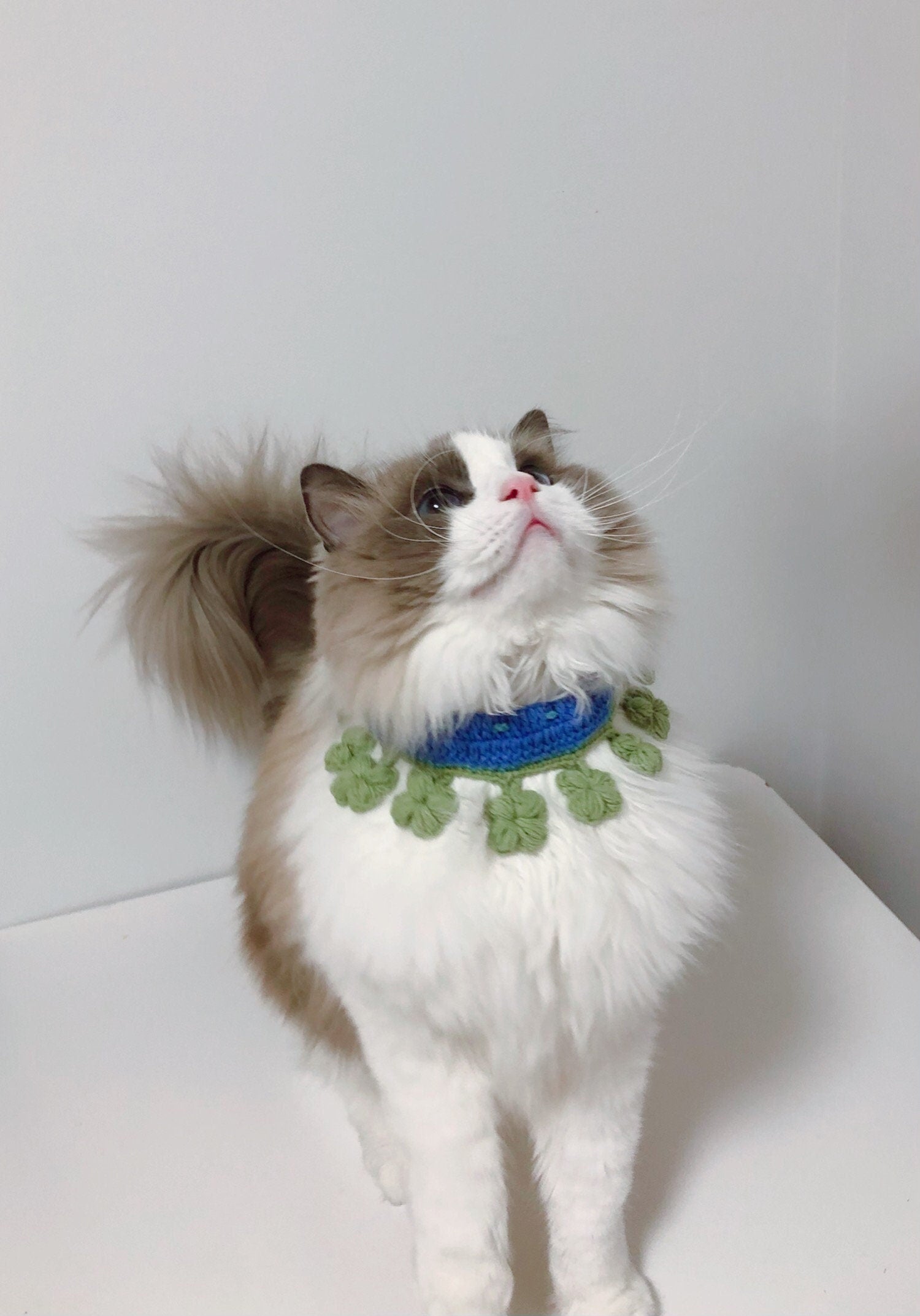 Crochet Pet Bib/Pet Collar/Neckwear- Four Leaf Clover - 100% handmade