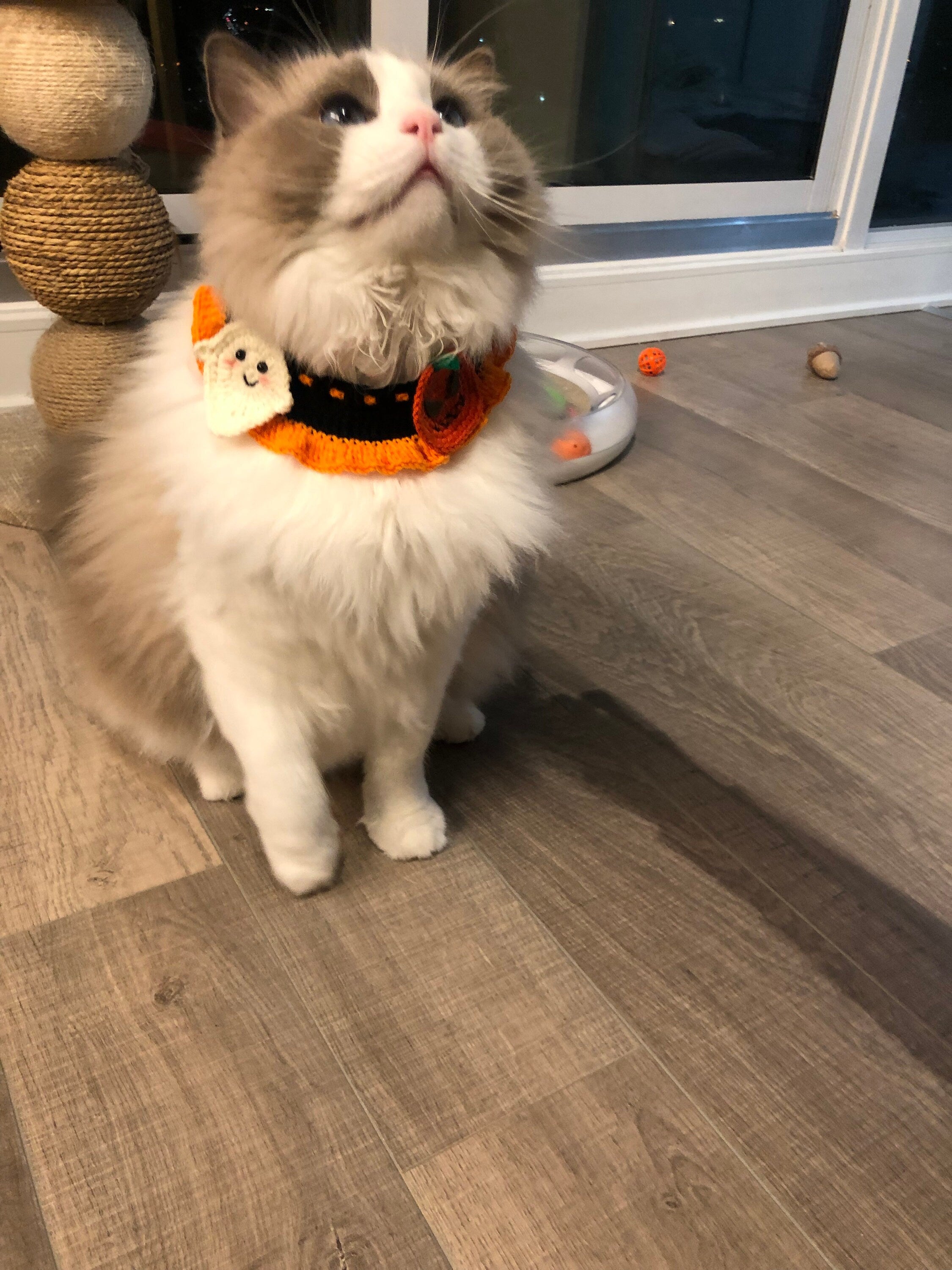 Crochet pet bib/collar/neckwear - Halloween- Pumpkin and Ghost - 100% handmade