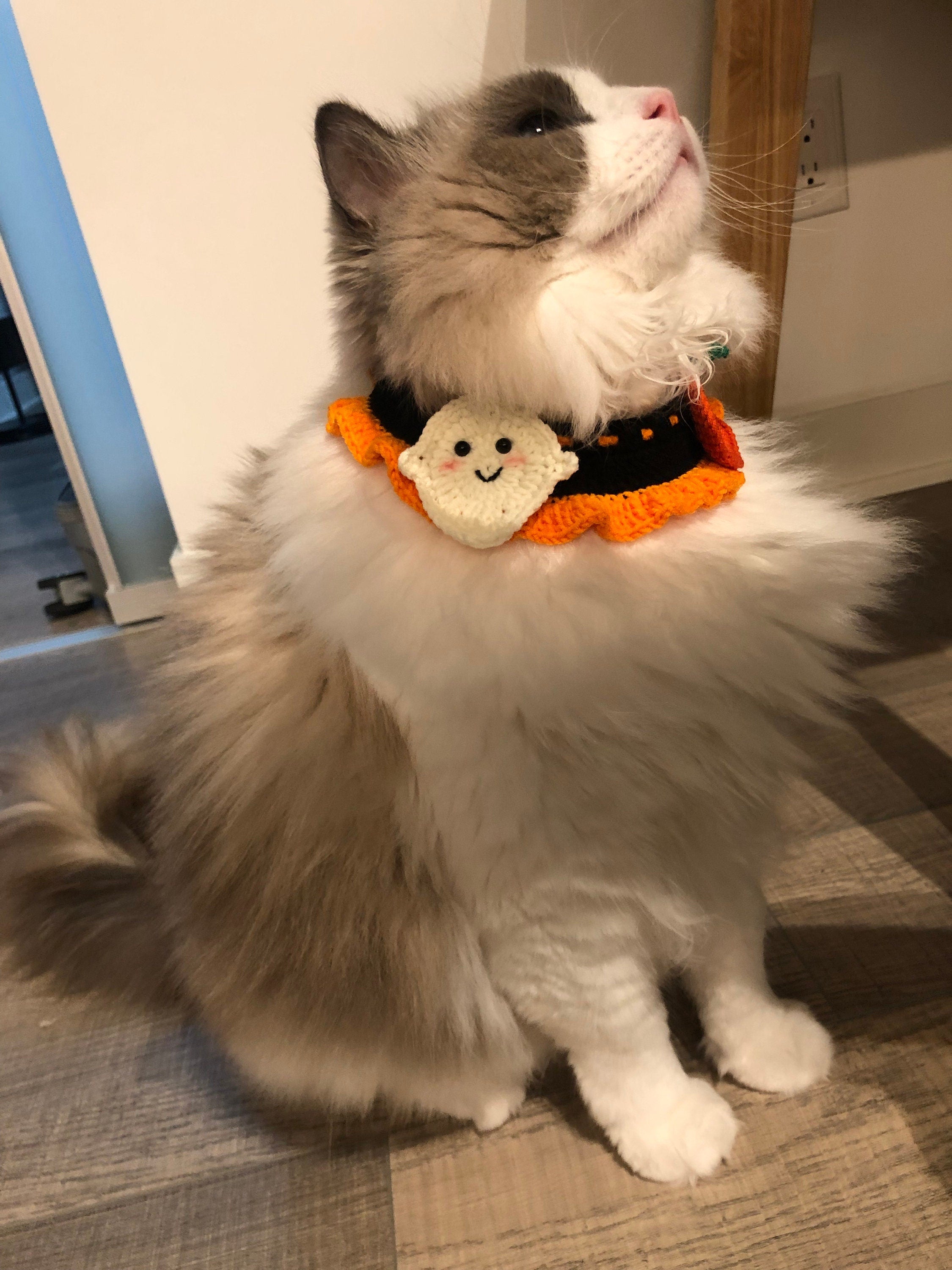 Crochet pet bib/collar/neckwear - Halloween- Pumpkin and Ghost - 100% handmade
