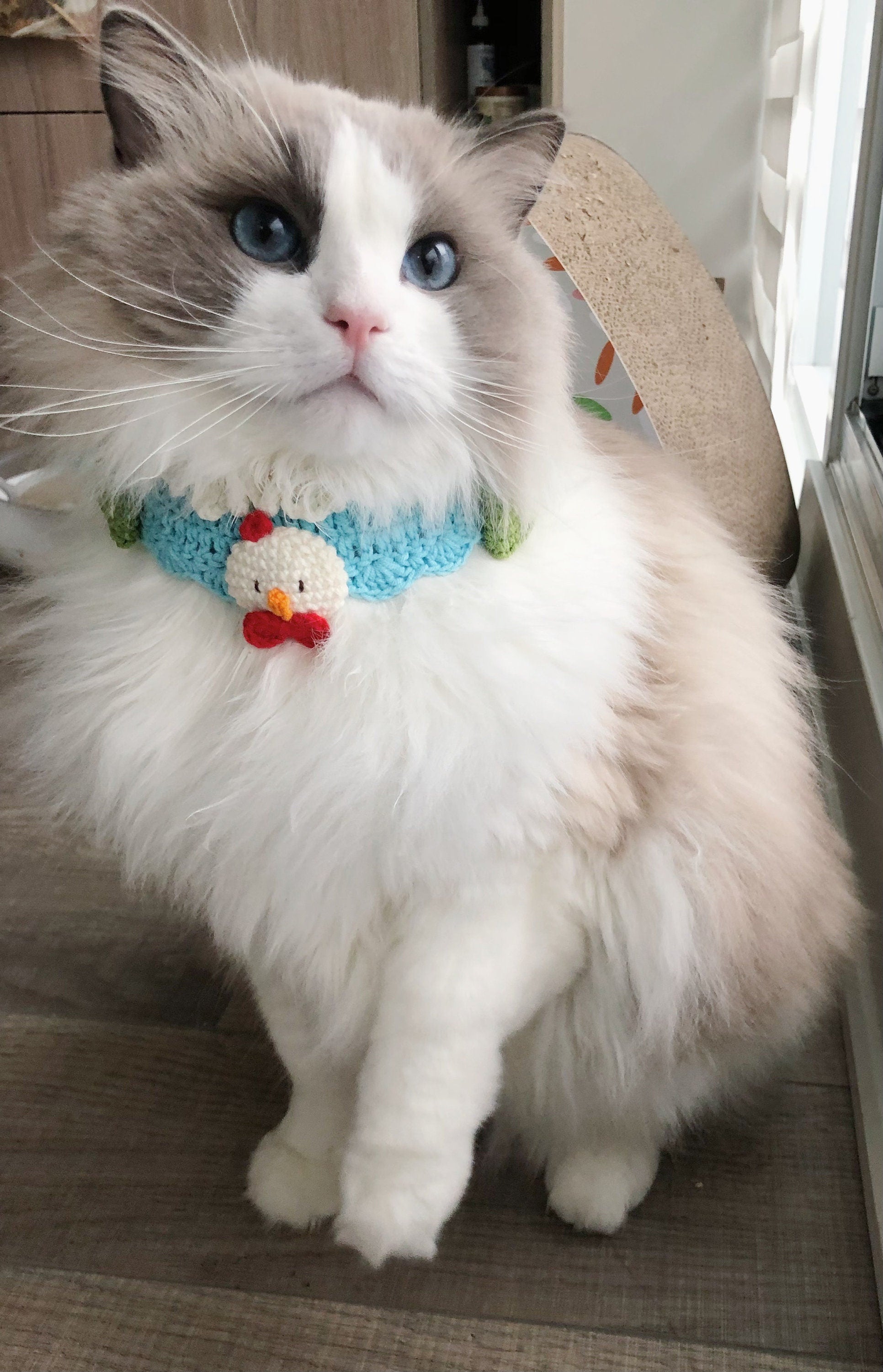 Crochet pet bib/collar/neckwear - 100% handmade - Snowman - Christmas limited