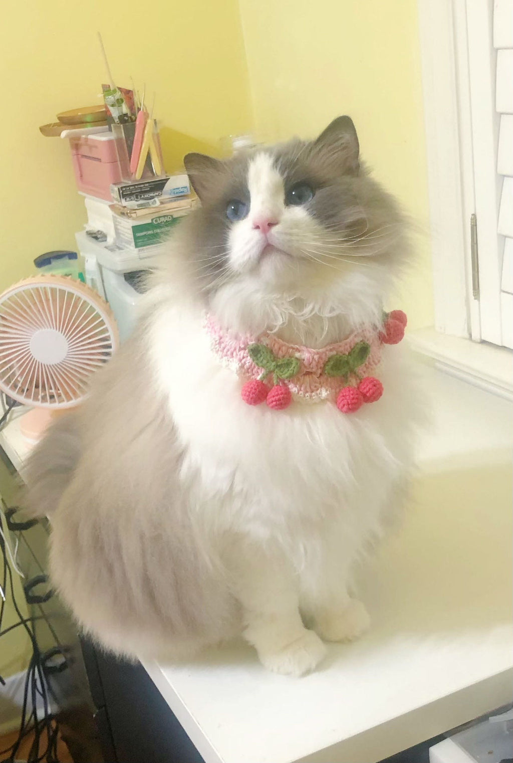 crochet pet collar - Pink Cherries - 100% handmade