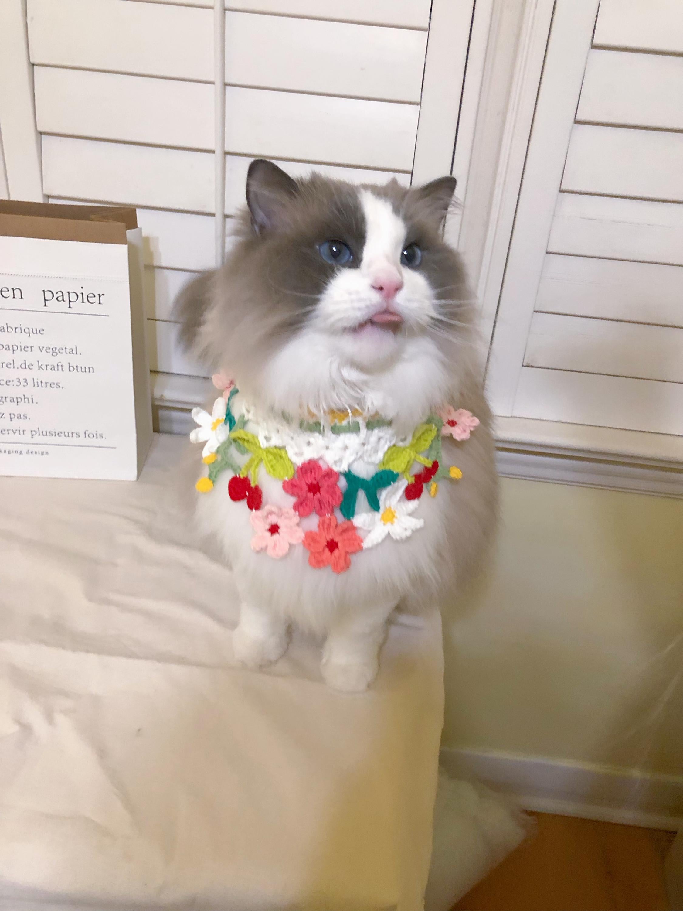 Crochet pet collar - Spring Flowers - Cute Pet Costume - 100% Handmade