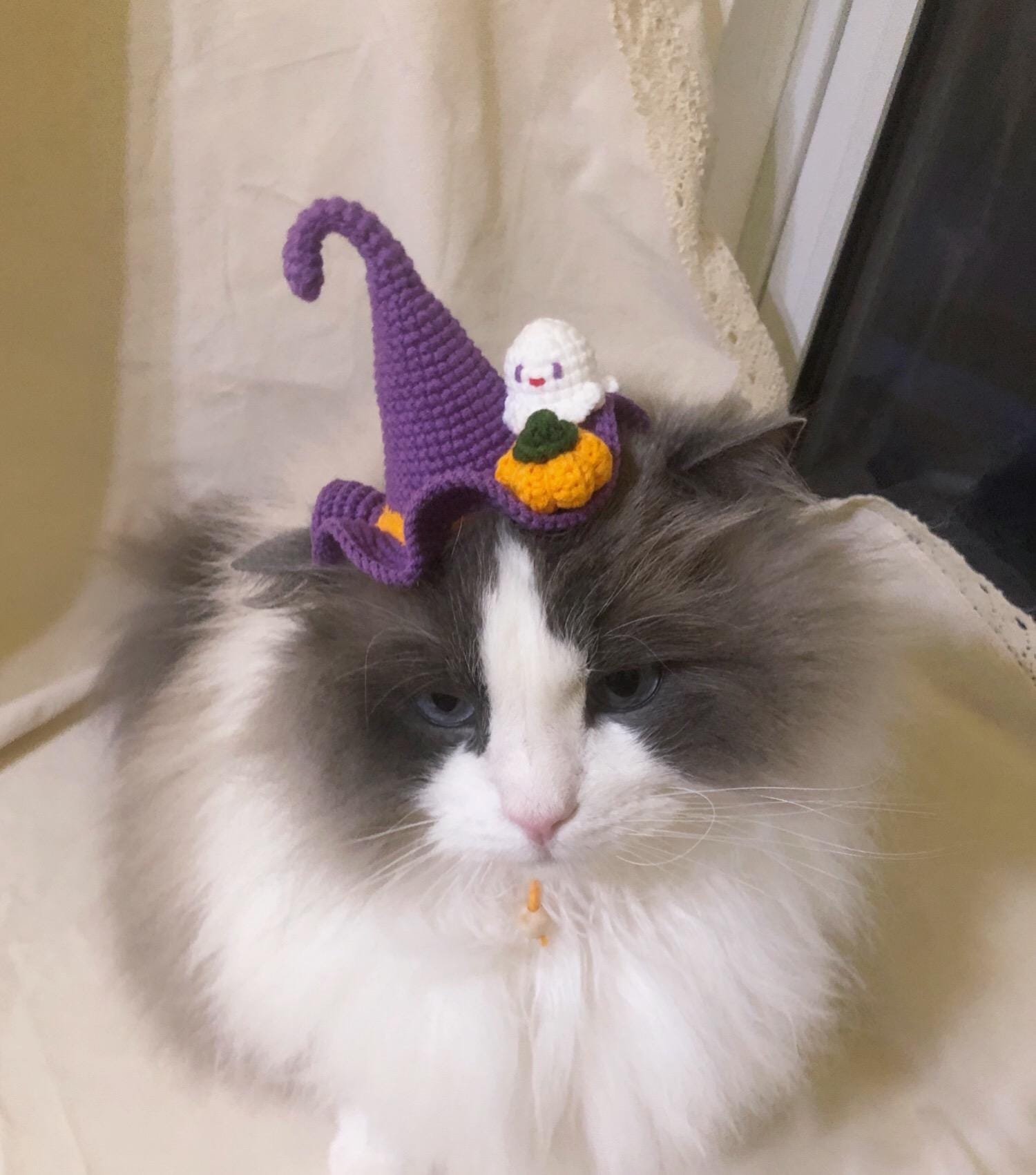 Crocheted pet hat - Witch Hat with a little ghost and pumpkin - 100% handmade