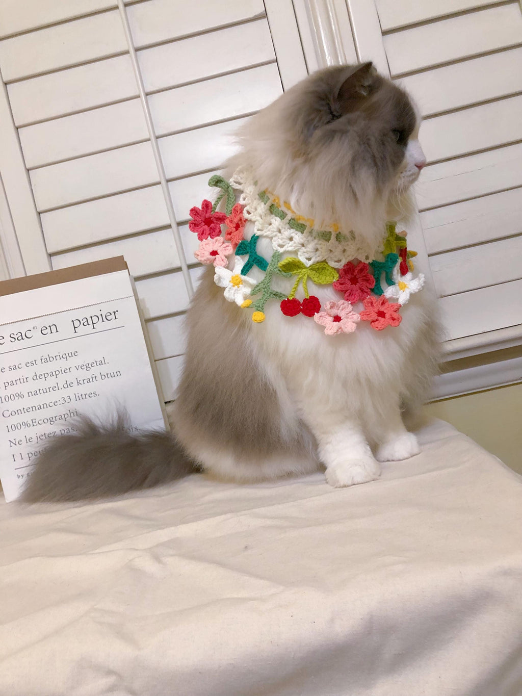 Crochet pet collar - Spring Flowers - Cute Pet Costume - 100% Handmade