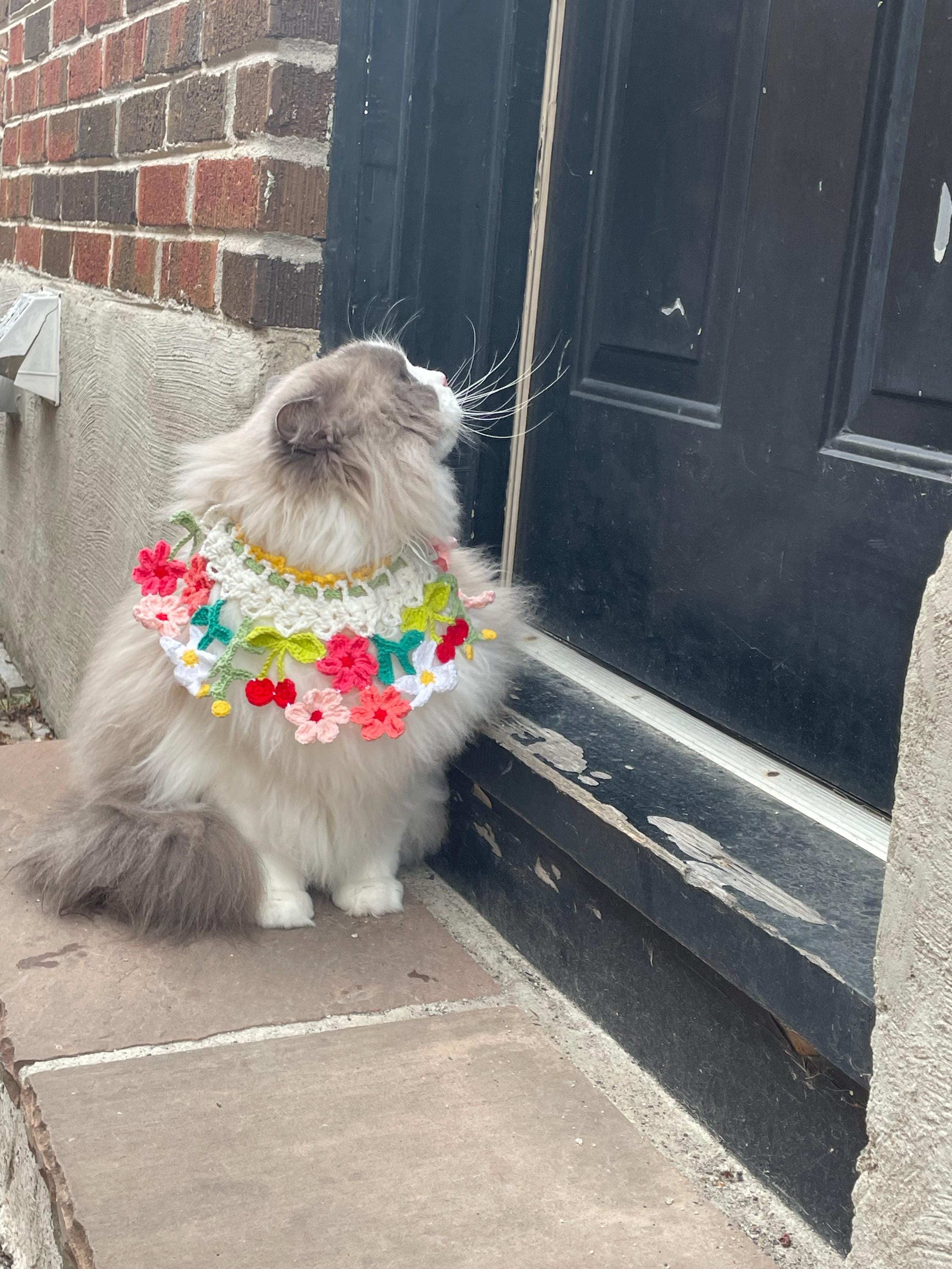 Crochet pet collar - Spring Flowers - Cute Pet Costume - 100% Handmade