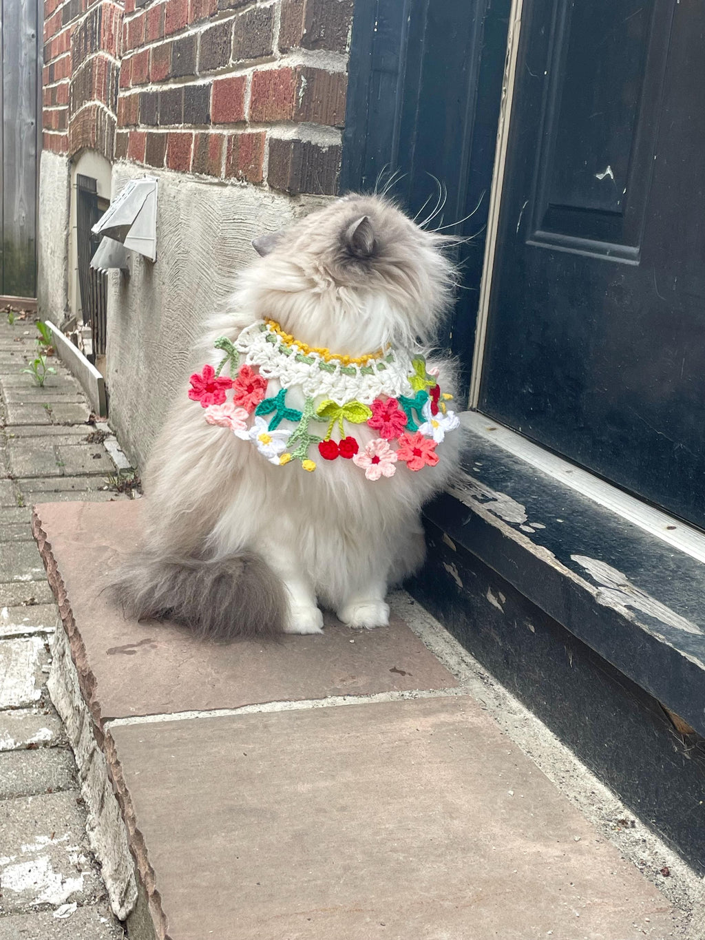 Crochet pet collar - Spring Flowers - Cute Pet Costume - 100% Handmade