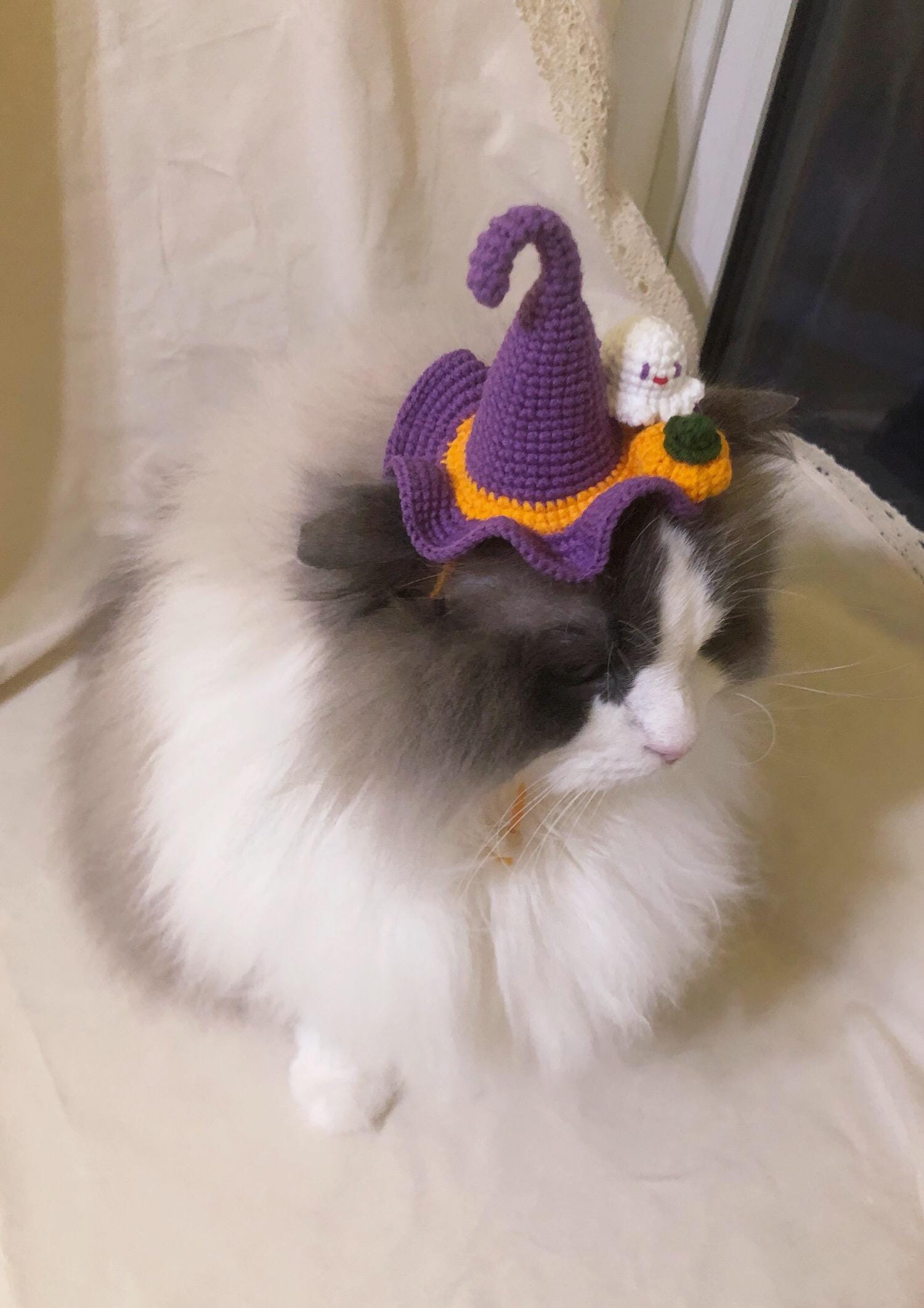 Crocheted pet hat - Witch Hat with a little ghost and pumpkin - 100% handmade