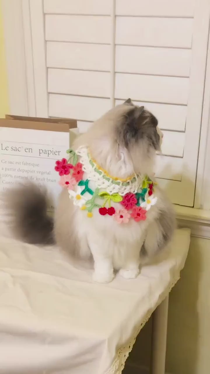 Crochet pet collar - Spring Flowers - Cute Pet Costume - 100% Handmade
