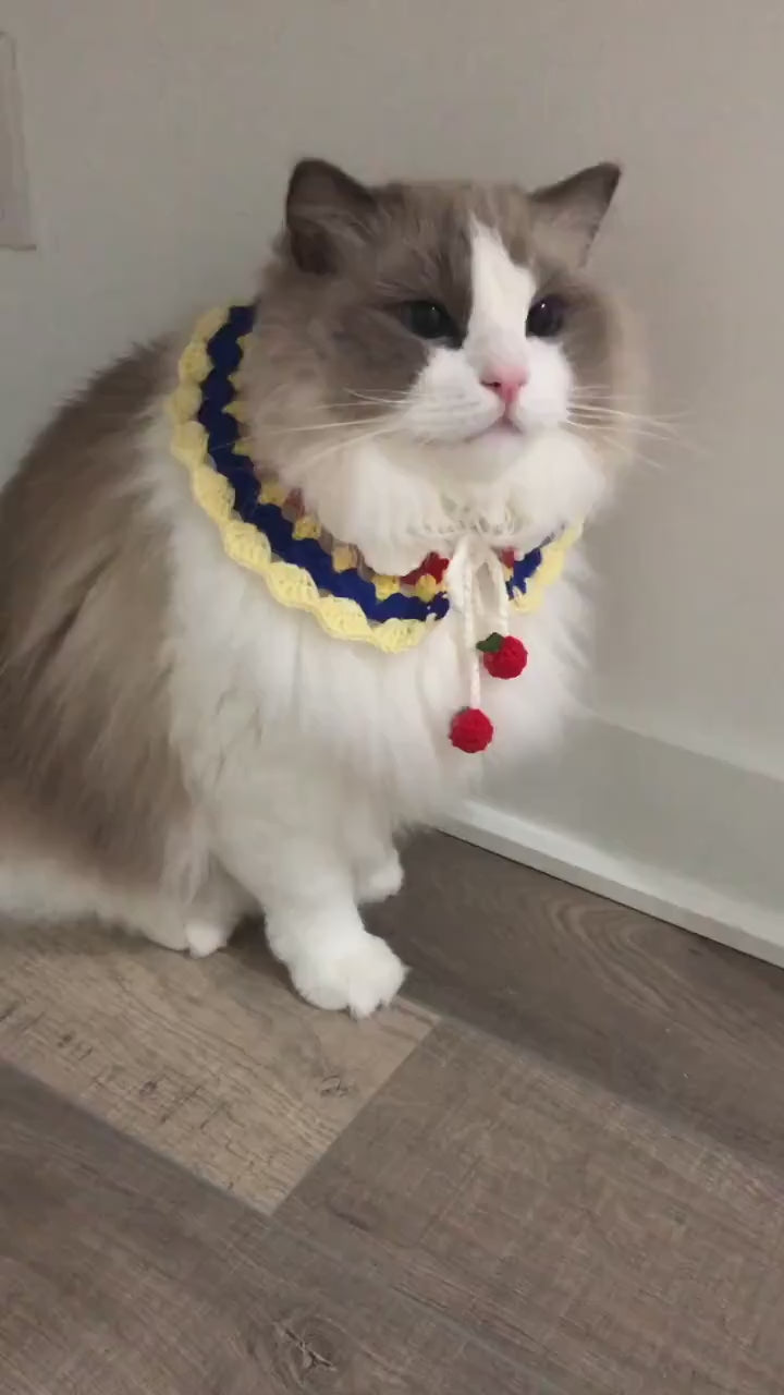 Crochet pet collar - 100% handmade - Snow White