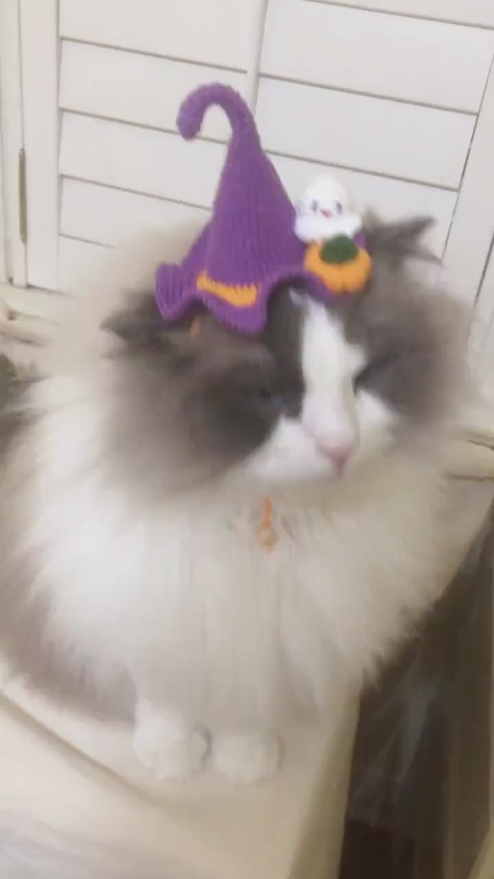 Crocheted pet hat - Witch Hat with a little ghost and pumpkin - 100% handmade
